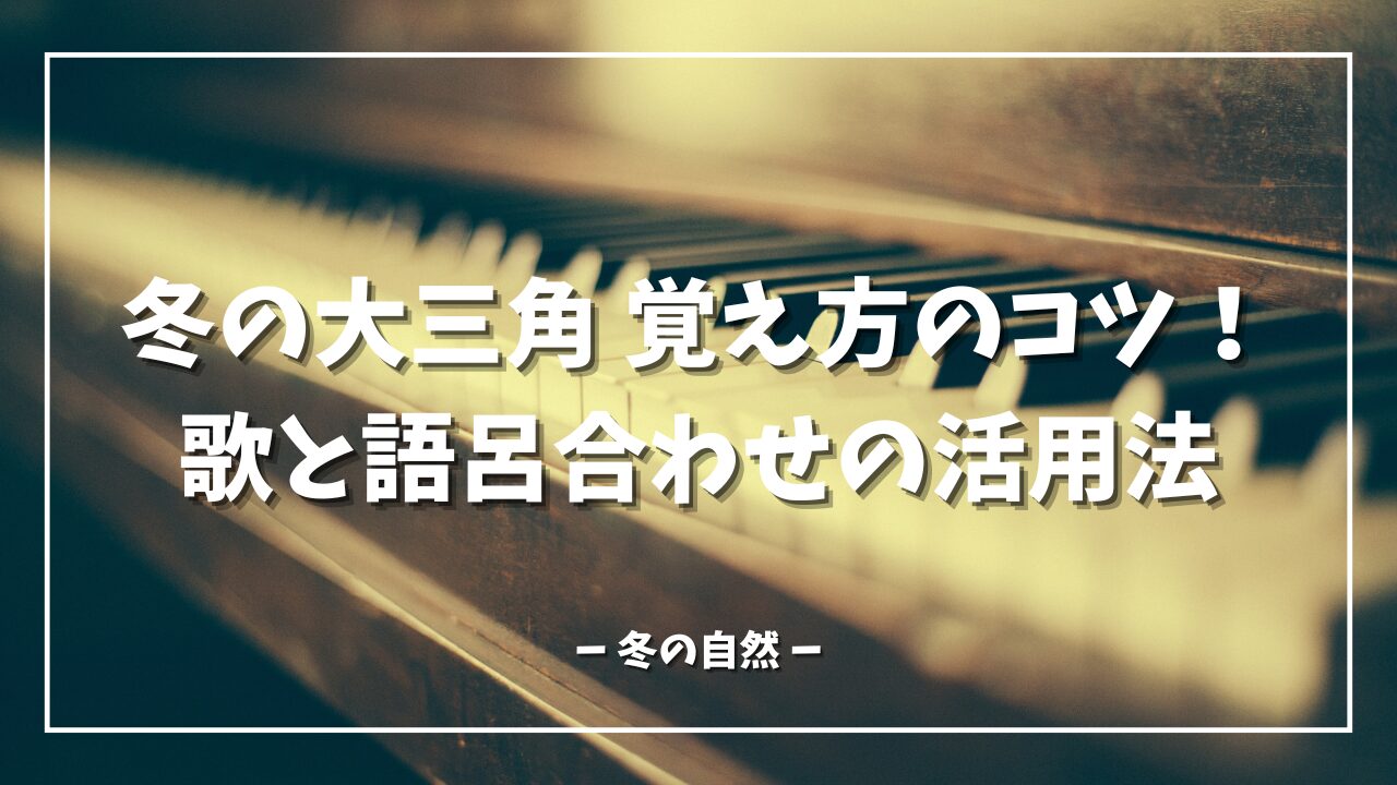 冬の大三角 覚え方のコツ！歌と語呂合わせの活用法