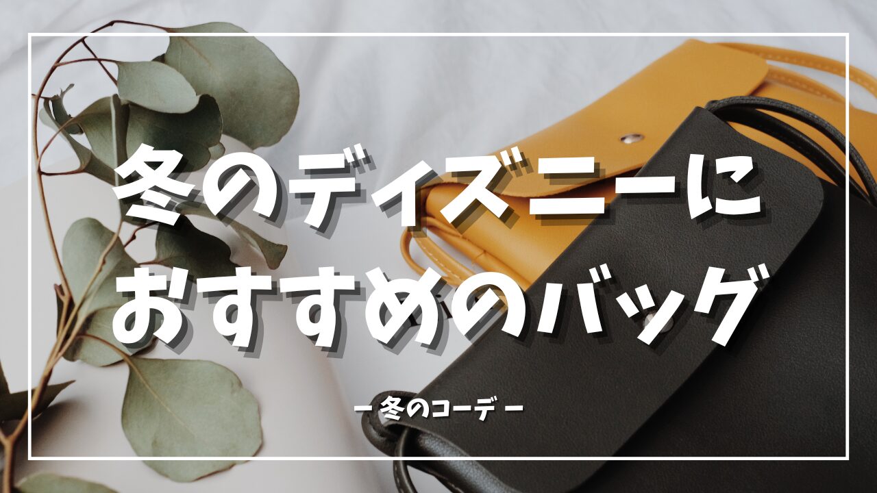 冬のディズニーにおすすめのバッグ