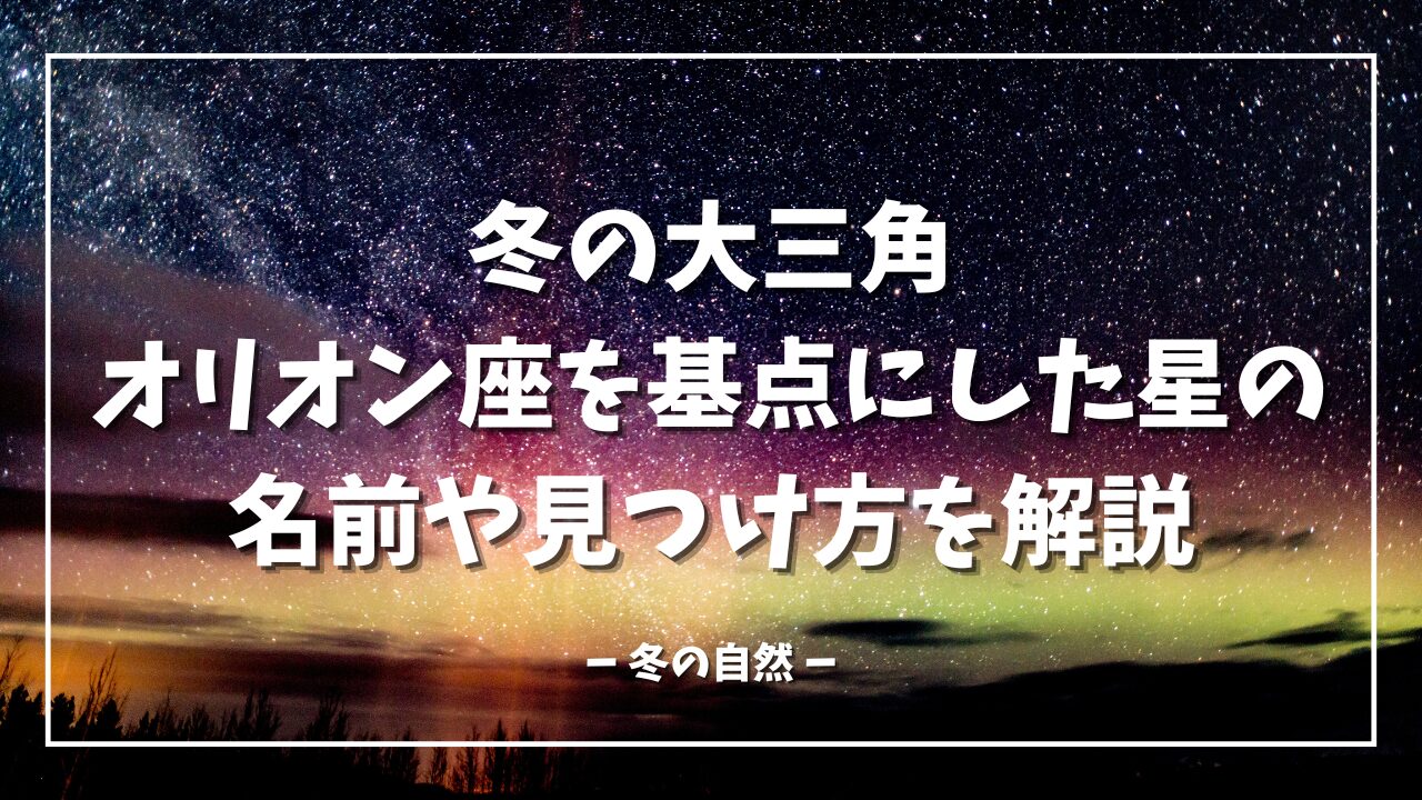 冬の大三角 オリオン座を基点にした星の名前や見つけ方を解説