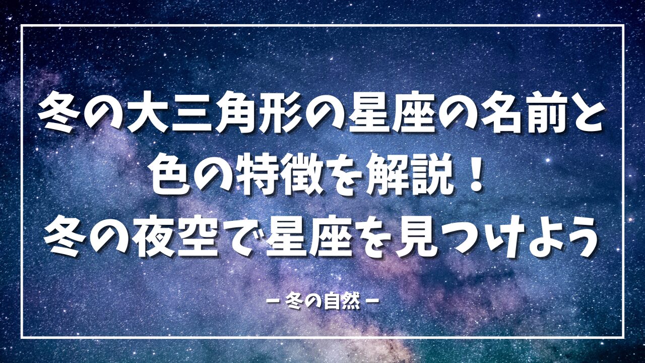 冬の大三角形の星座の名前と色の特徴を解説！冬の夜空で星座を見つけよう